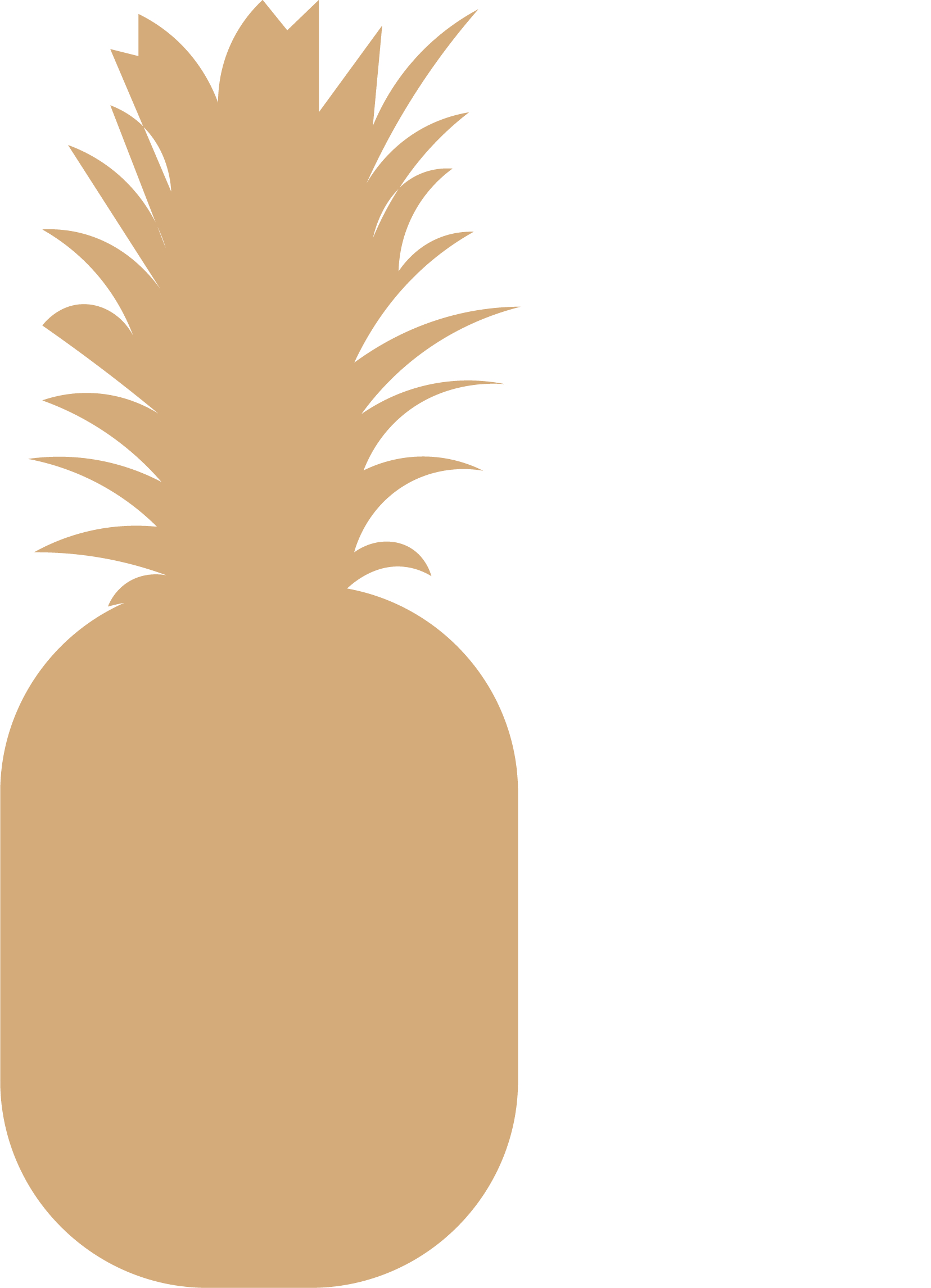 ananas